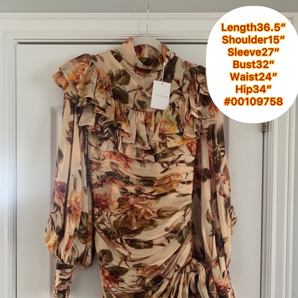 Nwt Zimmermann resistance ruffle dress - Picture 2 of 5